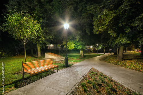 Park nocą photo