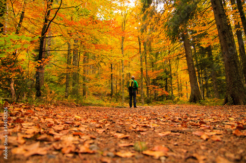 Herbstwald mit Person © Benno