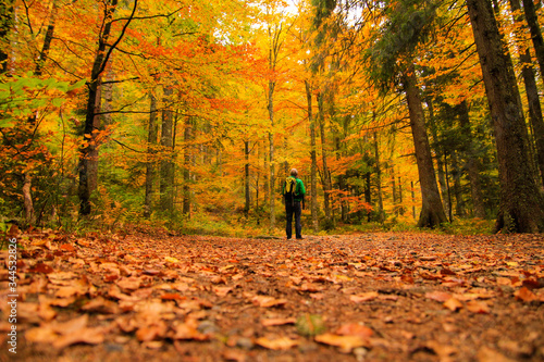 Herbstwald mit Person