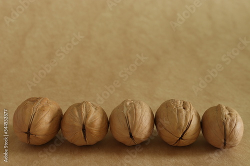 wallnuts in shells on the mono colour background photo