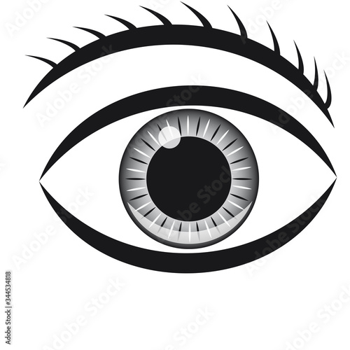 Auge 3