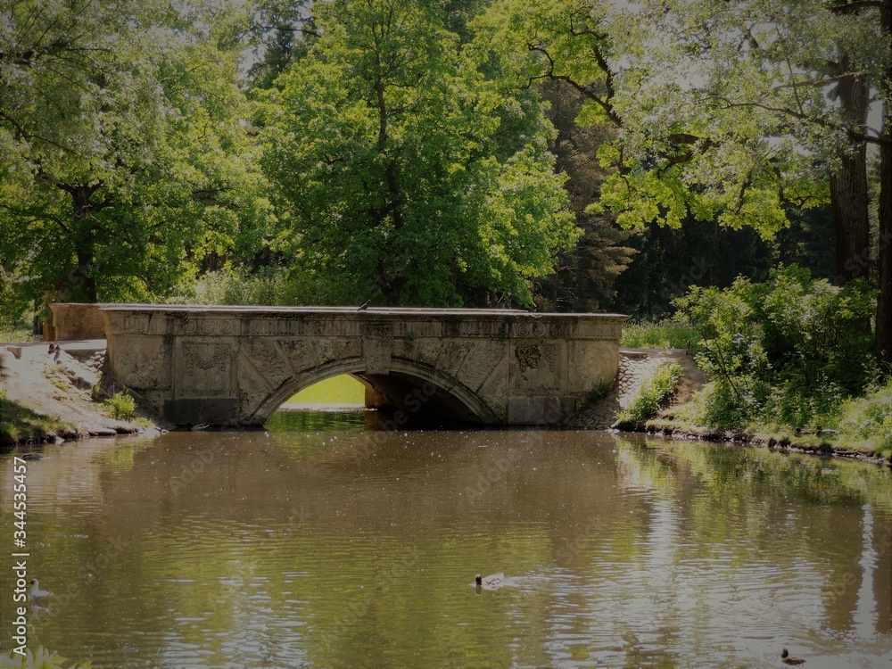 Fototapeta premium old bridge in the park, Saint-Petersburg