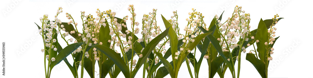 Fototapeta premium bannière avec brins de muguet sur fond blanc