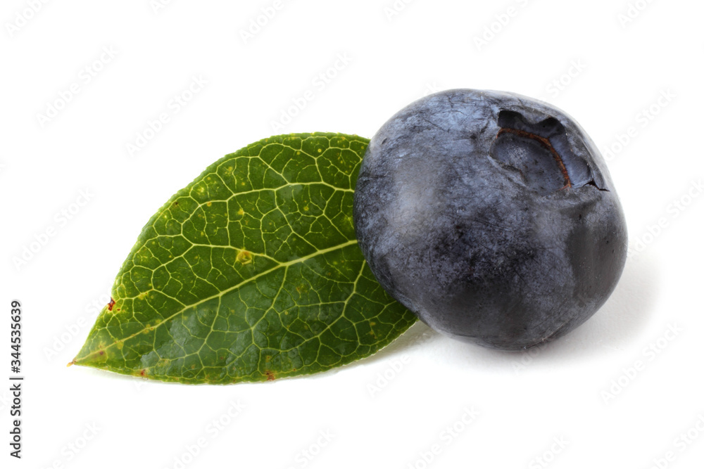 Blueberry and leaf Blueberry and leaf