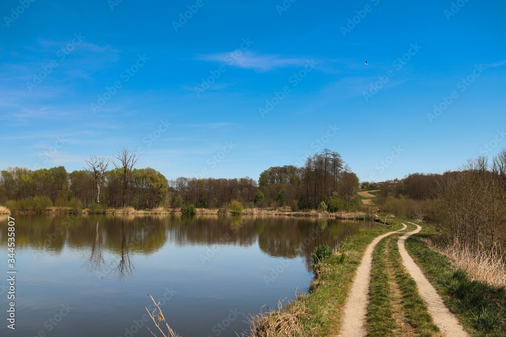 Spring landscape of a Czech pond with a blue sky and a silhouette of the road
