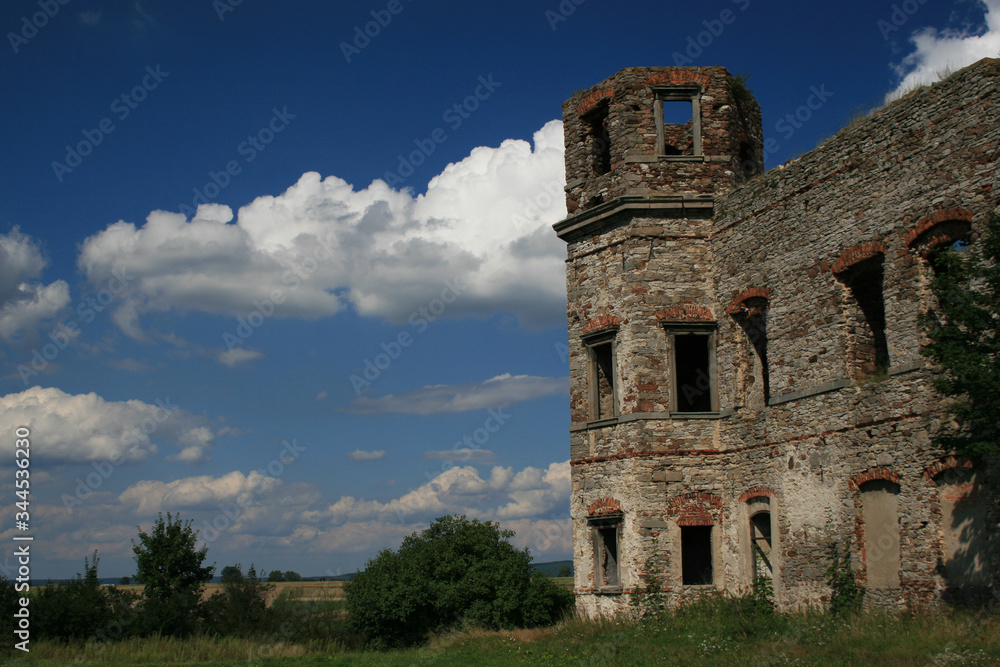 Tarlow castle in Podzamcze Piekoszowskie, Poland Tarlow castle in Podzamcze Piekoszowskie, Poland