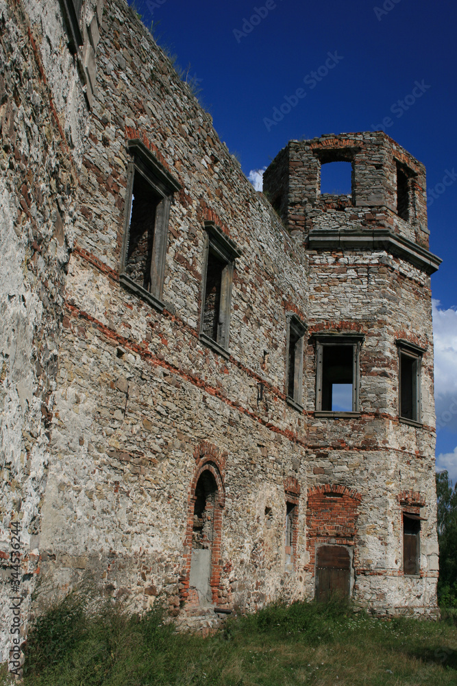 Tarlow castle in Podzamcze Piekoszowskie, Poland Tarlow castle in Podzamcze Piekoszowskie, Poland