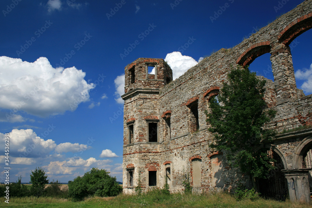 Tarlow castle in Podzamcze Piekoszowskie, Poland