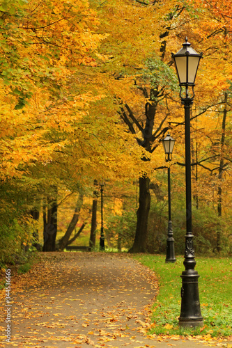 Autumn in Park near Pszczyna Castle or Pless Castle in Pszczyna town in Poland photo