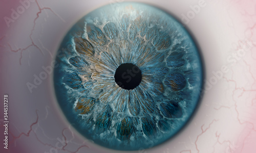 Human eye macro shot of pupil blue iris texture