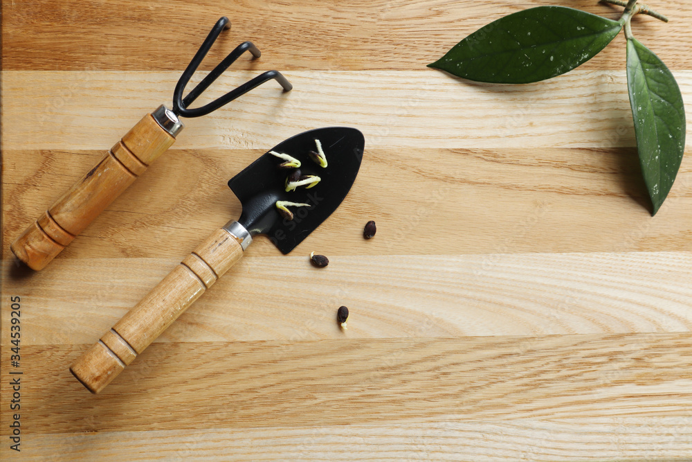 Seed packages with working equipment for agricultural work and sprouts on a wooden background, place for the inscription Seed packages with working equipment for agricultural work and sprouts on a wooden background, place for the inscription