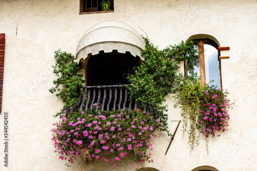 Close-up of a balcony and a window with beautiful pink geraniums and green jasmine. Feltre old town, Belluno province, Veneto, Italy, south Europe