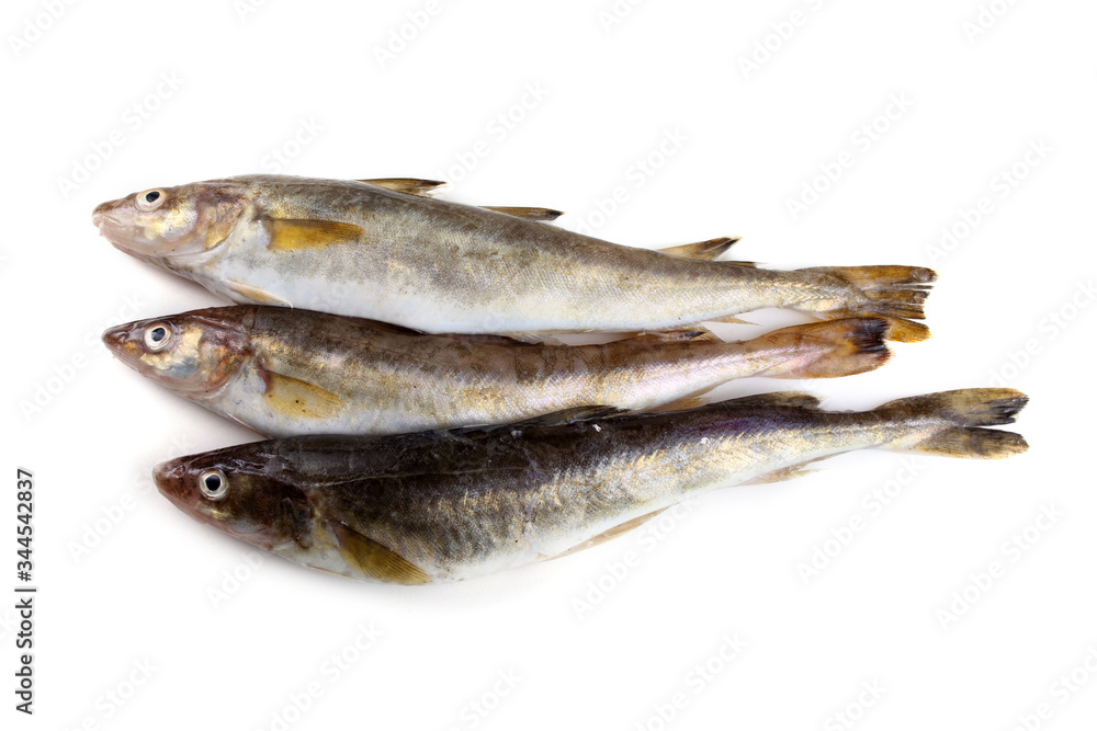 Safron cod fish