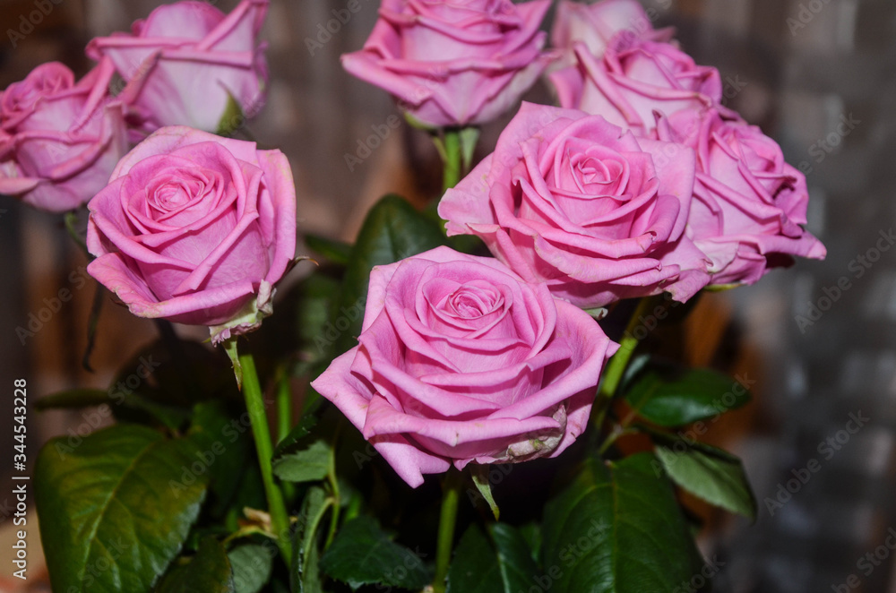 bouquet of pink roses bouquet of pink roses