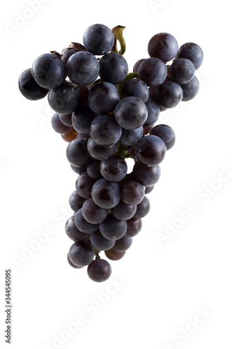 Black wine grape