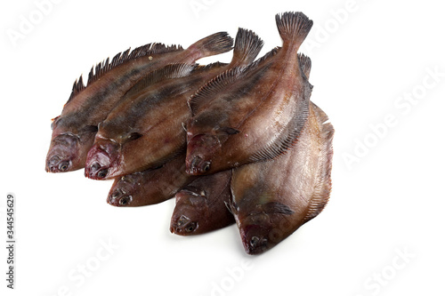 Canvastavla Flathead flounder