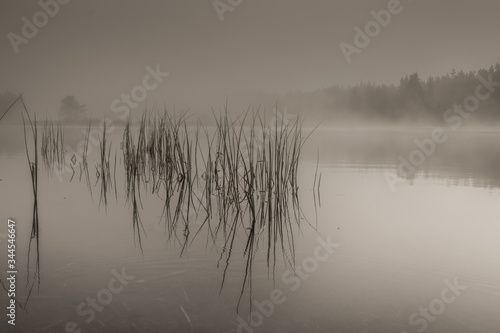 magical atmosphere on the lake covered by fog