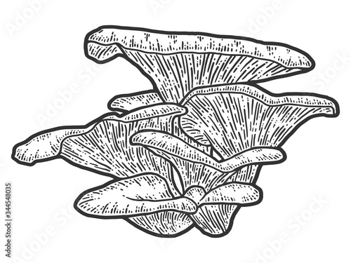 Mushroom plants. Sketch scratch board imitation. Black and white.