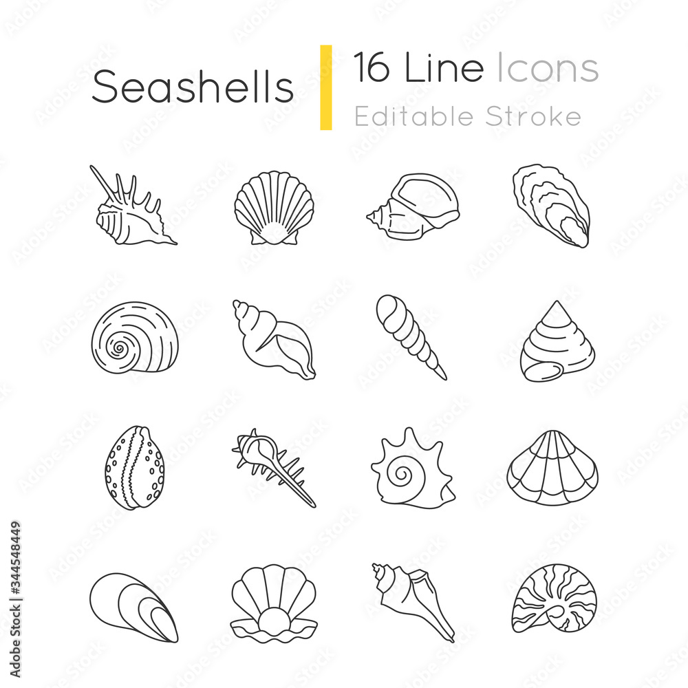 Seashells pixel perfect linear icons set. Different mollusk shells customizable thin line contour symbols. Various sea shells collection isolated vector outline illustrations. Editable stroke - obrazy, fototapety, plakaty 