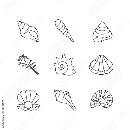 Sea shells pixel perfect linear icons set. Various molluscan shells, conchology customizable thin line contour symbols. Various cockleshell isolated vector outline illustrations. Editable stroke
