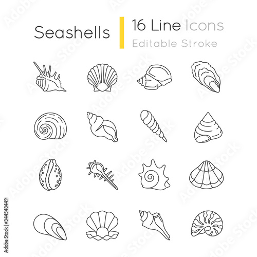 Seashells pixel perfect linear icons set. Different mollusk shells customizable thin line contour symbols. Various sea shells collection isolated vector outline illustrations. Editable stroke photo