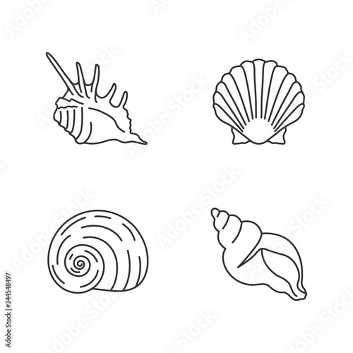 Exotic sea shells pixel perfect linear icons set. Customizable thin line contour symbols. Sea scallop, moonshell, triton conch and spiked shell isolated vector outline illustrations. Editable stroke