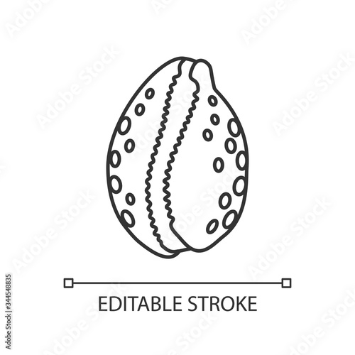 Cowrie shell pixel perfect linear icon. Decorative ocean souvenir, conchology thin line customizable illustration. Contour symbol. Cephalopod shell vector isolated outline drawing. Editable stroke