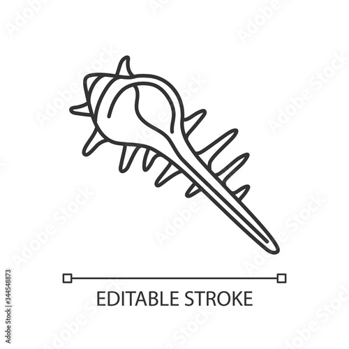 Exotic spiked sea shell pixel perfect linear icon. Tropical cockleshell thin line customizable illustration. Contour symbol. Empty molluscan conch vector isolated outline drawing. Editable stroke