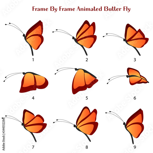 Photography Butter fly Vector Illustration, Frame by Frame Animated Butterfly editable sourc