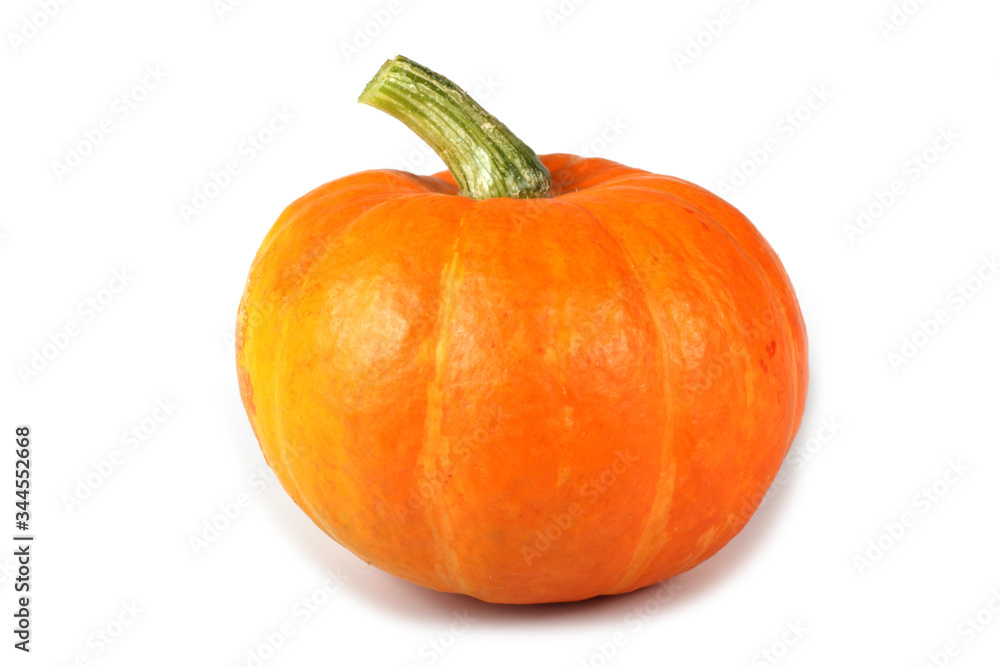Obraz premium Orange pumpkin