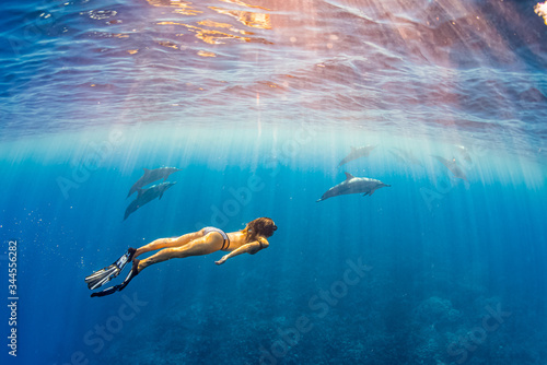 Woman in bikini and fins snorkeling with pod of dolphins in clear blue ocean on sunny day photo