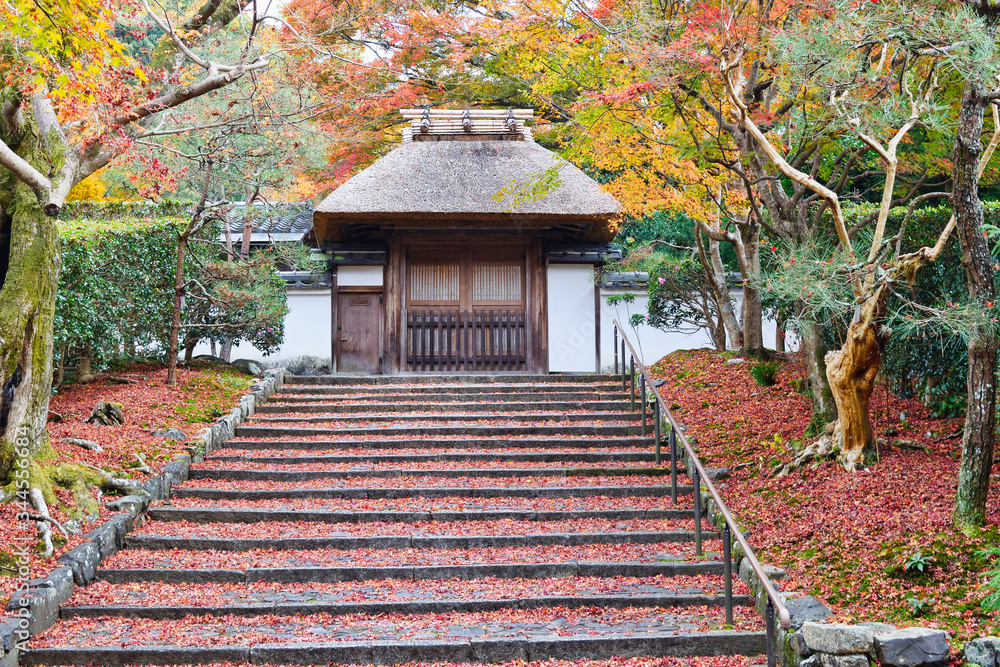京都 安楽寺の美しい真っ赤な紅葉(日本京都府京都市)Beautiful bright red autumn leaves at Anrakuji Temple, Kyoto (Kyoto City, Kyoto Prefecture,Japan) 京都 安楽寺の美しい真っ赤な紅葉(日本京都府京都市)Beautiful bright red autumn leaves at Anrakuji Temple, Kyoto (Kyoto City, Kyoto Prefecture,Japan)