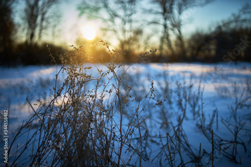 Warm winter landscape of sunset blue sky © Igor