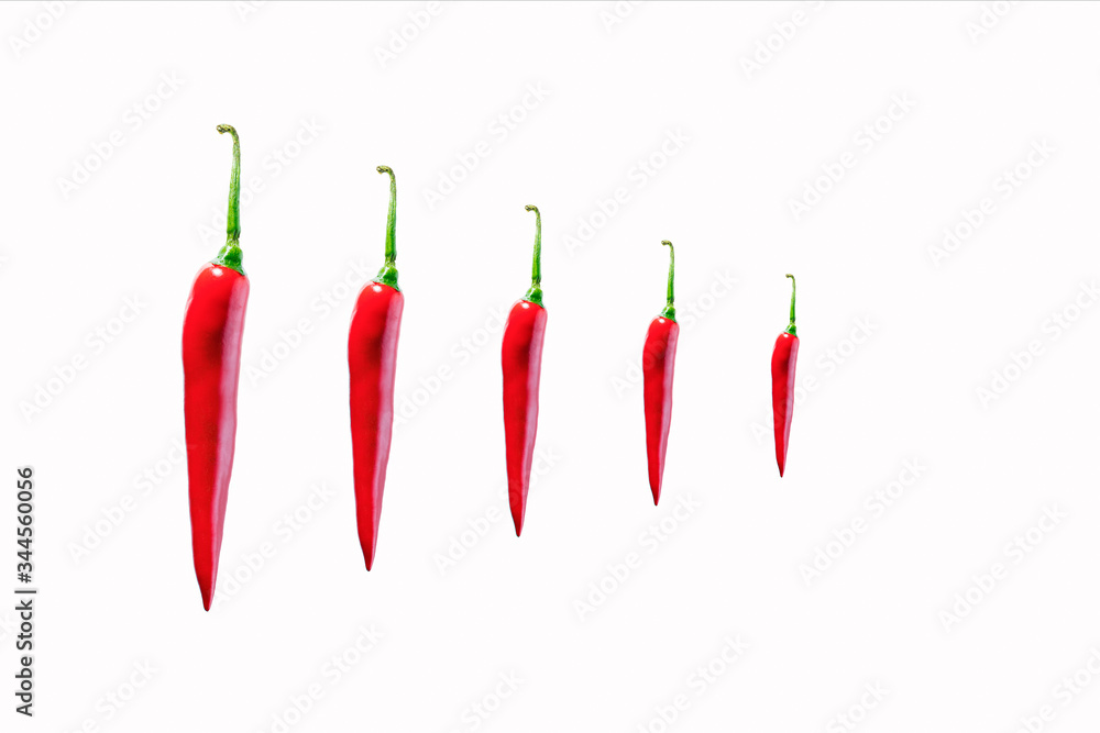 red hot chilli peppers scoville scale scotch bonnet red hot chilli peppers scoville scale scotch bonnet