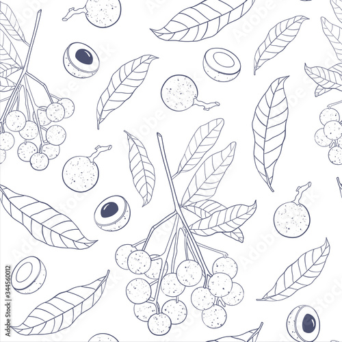 Trendy seamless pattern with longan fruit. Branch, leaves and half-vault of longan isolated on white background. Outline vector illustration for print,textile,wrapping paper,web.