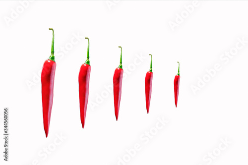 red hot chilli peppers scoville scale  scotch bonnet photo