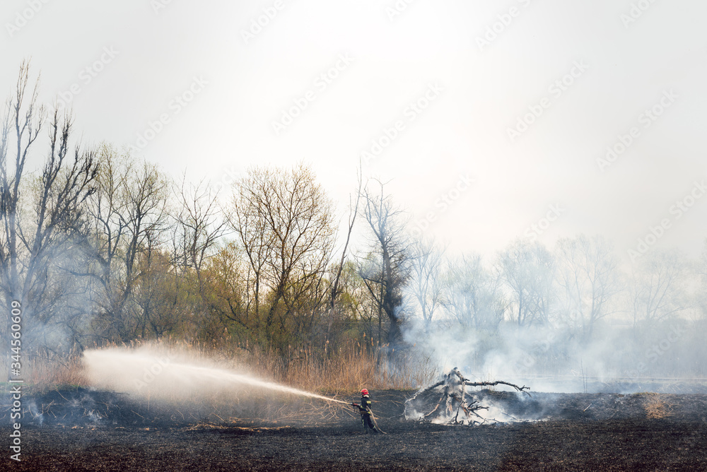 Fototapeta premium Raging forest spring fires. Burning dry grass, reed along lake. Grass is burning in meadow. Ecological catastrophy. Fire and smoke destroy all life. Firefighters extinguish Big fire. Lot of smoke