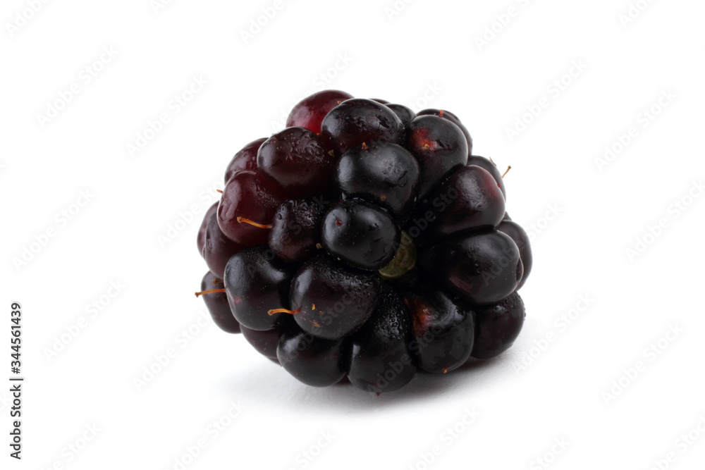 Blackberry Blackberry