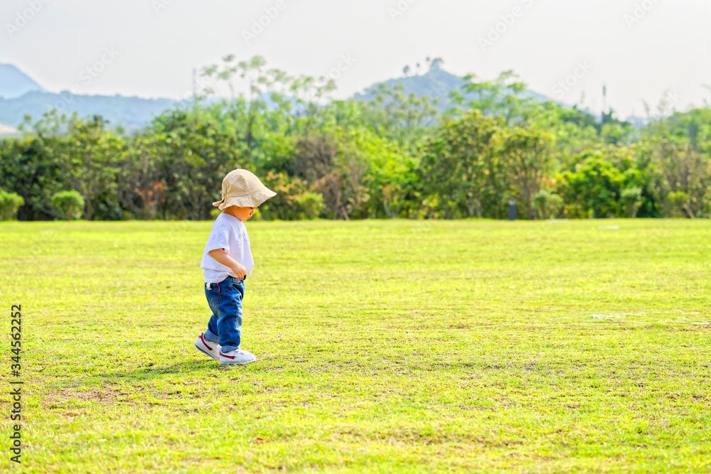The little boy in a hat in the outdoor lawn
The little boy in a hat in the outdoor lawn