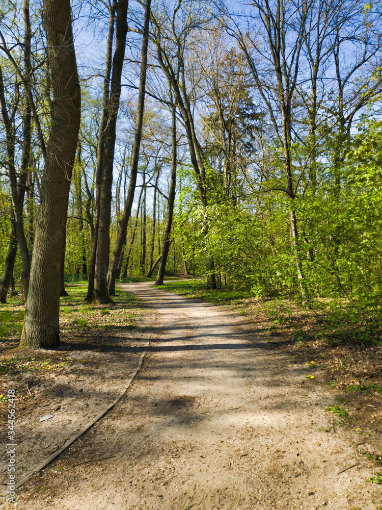 SŁONECZNY DZIEŃ W PARKU.
PARK IM. JÓZEFA PIŁSUDSKIEGO
(NA ZDROWIU). ŁÓDŹ, POLSKA SŁONECZNY DZIEŃ W PARKU.
PARK IM. JÓZEFA PIŁSUDSKIEGO
(NA ZDROWIU). ŁÓDŹ, POLSKA