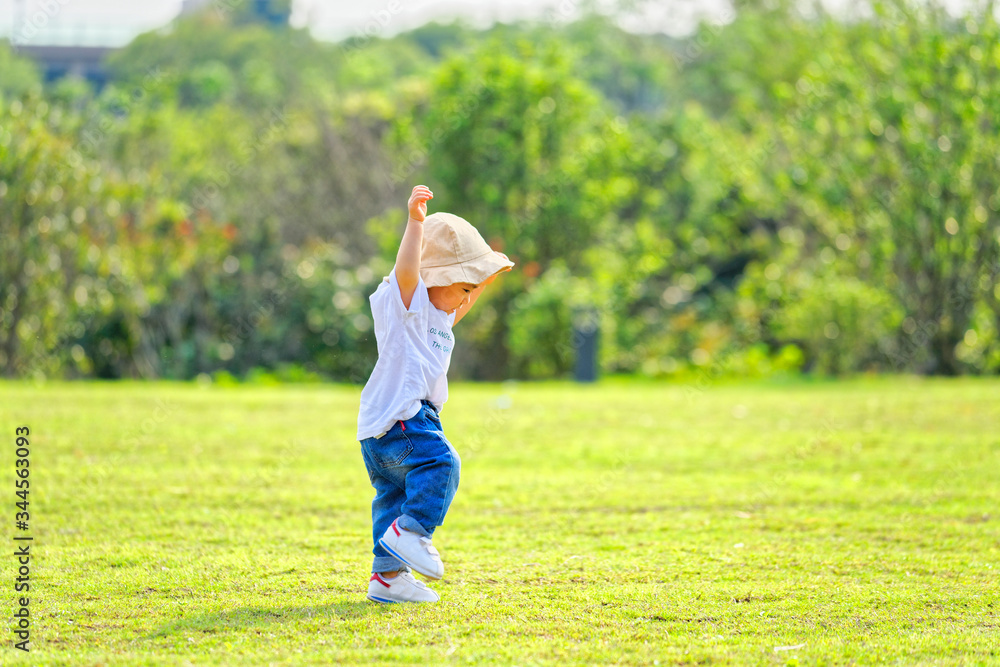 The little boy in a hat in the outdoor lawn
The little boy in a hat in the outdoor lawn