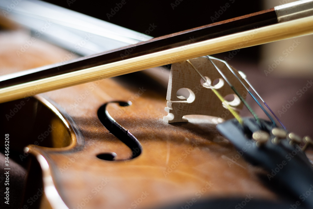 Fototapeta Artful close-up photo of a violin body and bow