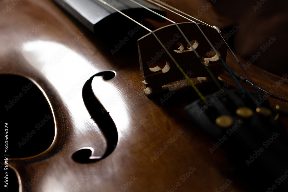 Artful photo of a violin body showing wood grain texture Artful photo of a violin body showing wood grain texture