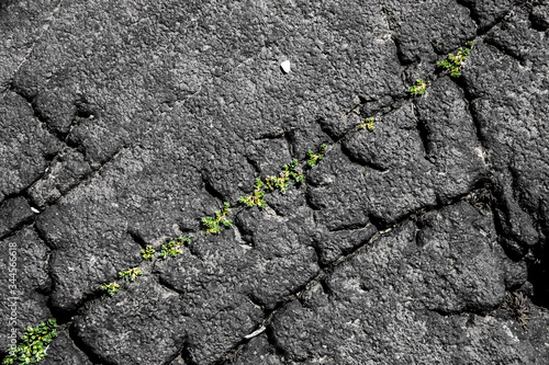 La natura fa dei disegni strani photo