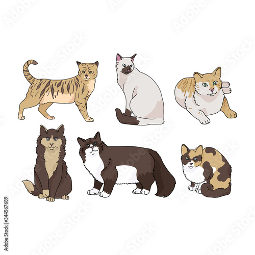 Cute cartoon cat breed set vector clipart. Pedigree kitty breed for cat lovers. Purebred domestic kitten for pet parlor illustration mascot. Isolated feline housecat. EPS 10.