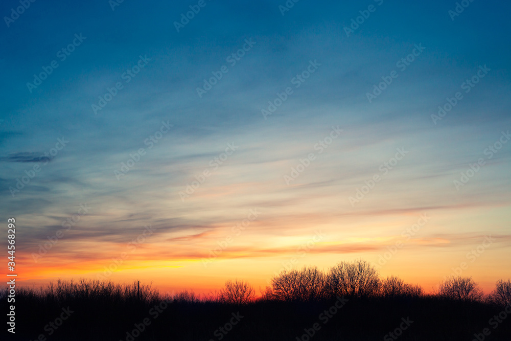 Sunset over dark field with dry trees silhouette
