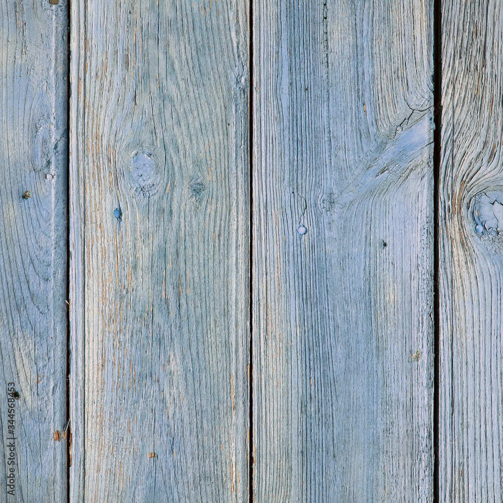 Fototapeta premium Old blue painted board with natural patterns