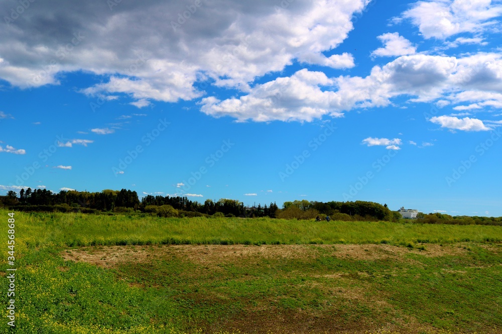 春 爽やか 渡良瀬 風景 杤木 春 爽やか 渡良瀬 風景 杤木