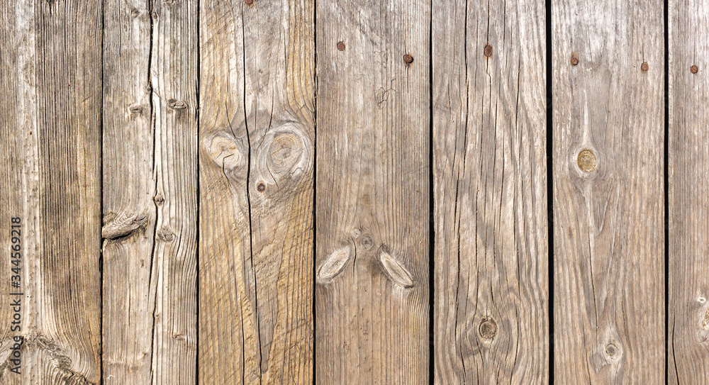 Fototapeta premium The old wood texture with natural patterns