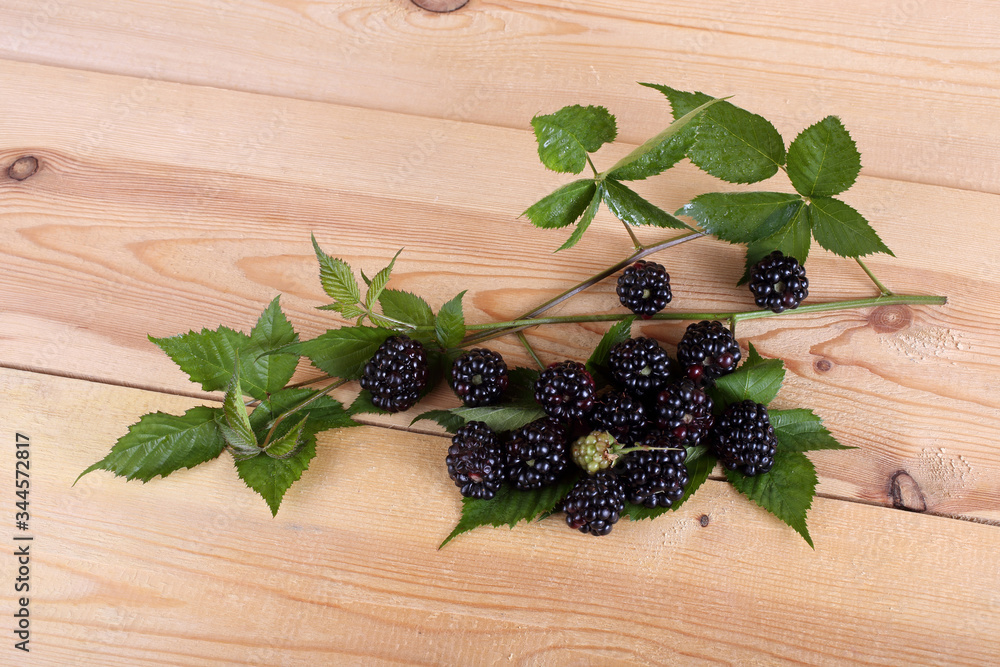 Blackberry on table Blackberry on table